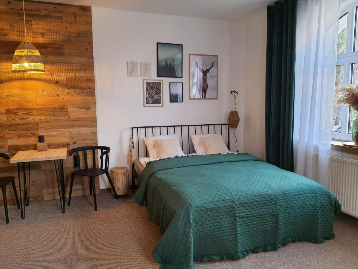 Apartamenty Deptak - W Centrum Karpacza, Parking W Cenie! Eksteriør bilde